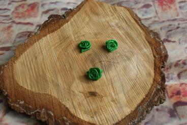 Rösli Klein 10 Stk. , Dunkelgrün 