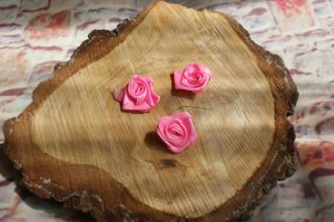 Rösli Gross 10 Stk. , Rosa 