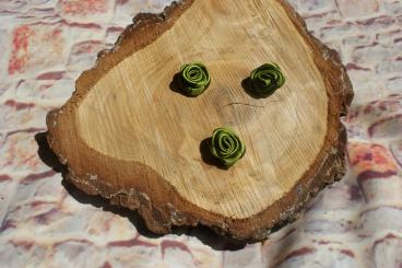 Rösli klein, 10 Stk. , Militärgrün 