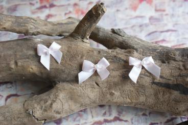 Schleifchen mit Perle 3 Stk. Puder 