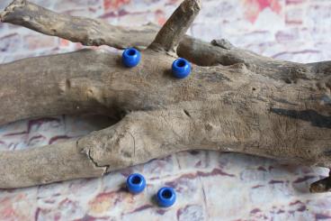 Perle Gross Kobalt 4 Stk. 