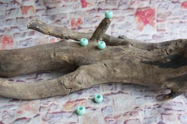 Perle Gross Mint 4 Stk. 