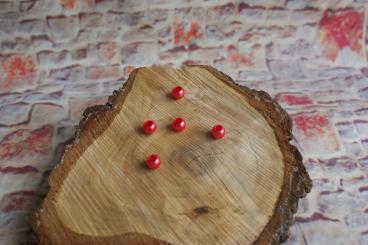 Perle Klein 6 Stk., Rot glänzend 