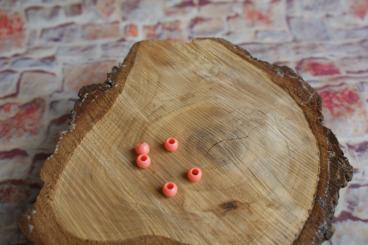 Perle Mini 6 Stk. Lachs 