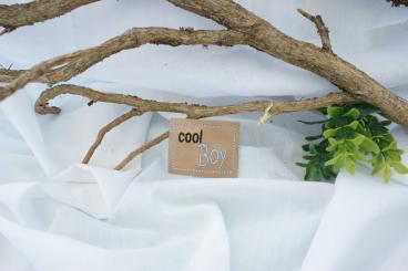 Kunstleder Label Cool Boy 