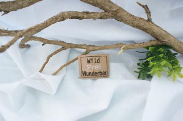 Kunstleder Label Wild. Frei, Wunderbar 