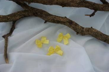 Schleifchen 3 Stück Gelb 