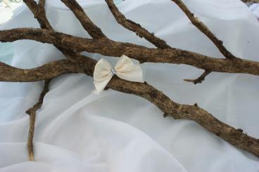 Schleife Gross mit Stein Creme 