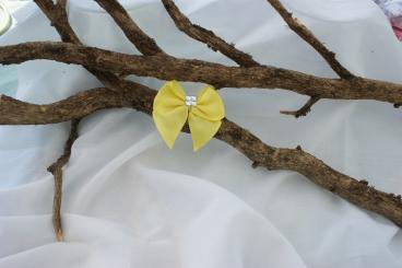 Schleife Gross mit Stein Gelb 