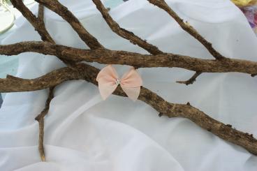 Schleife Gross mit Stein Lachs 