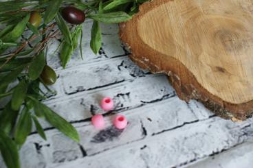 Perle Mittel 6 Stk., Rosa matt 