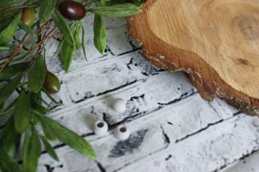 Perle Mittel 6 Stk., Grau matt 