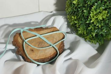 Flache gewebte Baumwollkordel Breite 8 - 10 mm mint 