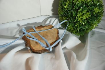 Flache gewebte Baumwollkordel Breite 8 - 10 mm hellblau 