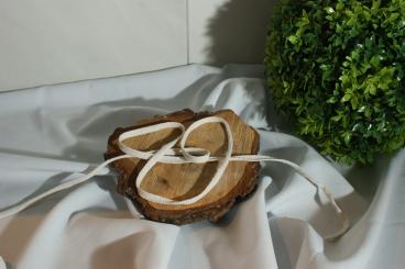 Flache gewebte Baumwollkordel Breite 8 - 10 mm naturfarb 