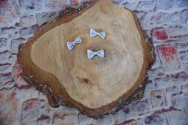 Mini Schleifchen, 5 Stück, Grau 