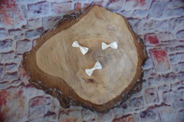 Mini Schleifchen, 5 Stück hell Gelb 