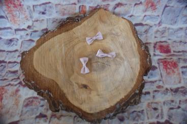 Mini Schleifchen, 5 Stück, Beige 