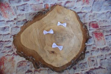 Mini Schleifchen, 5 Stück Flieder 