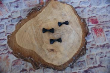 Mini Schleifchen, 5 Stück, Schwarz 