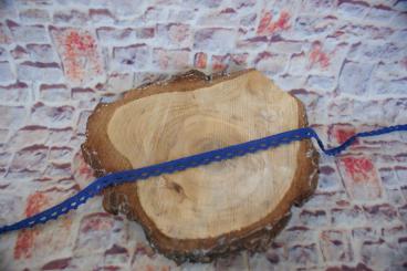 Spitzenband Baumwolle Royalblau 