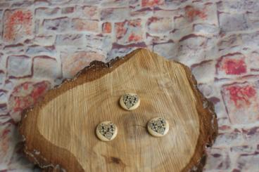 Holzknopf Mandala Blau 