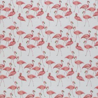 Jersey Flamingo 